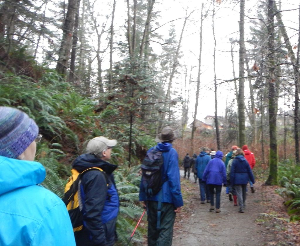 CVN walk Feb 8 2015