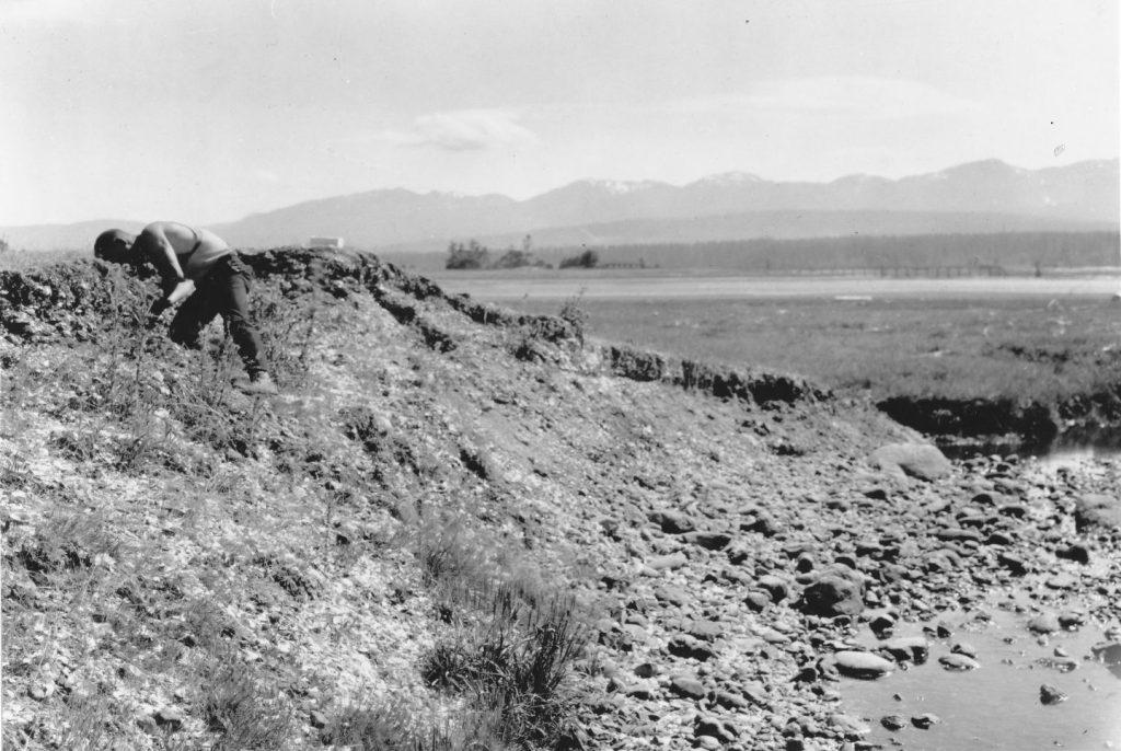 Homesite shoreline 1922