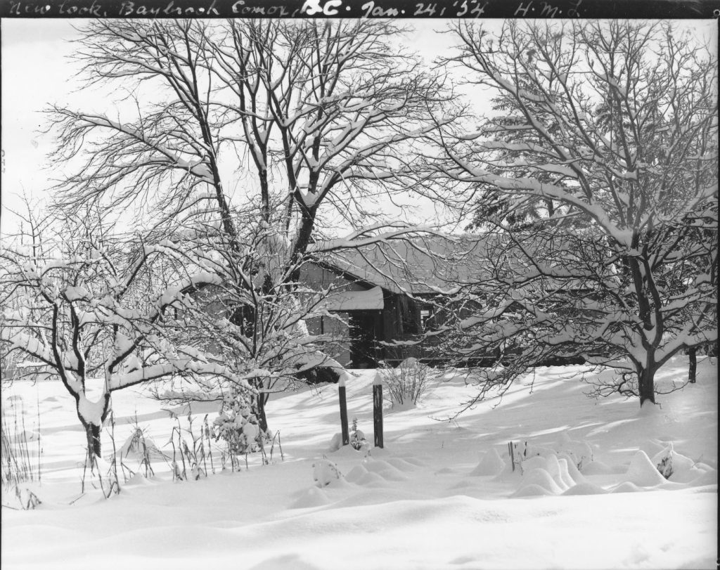 Winter at Baybrook 1954