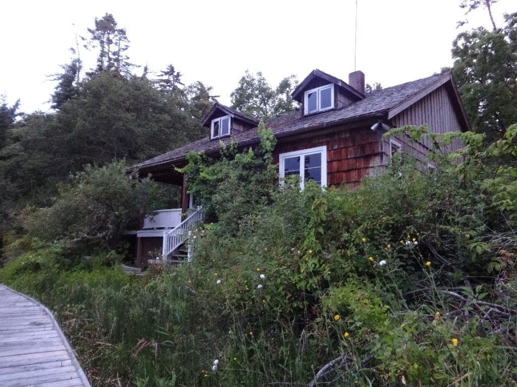 Shakesides front before cleanup, August 2015