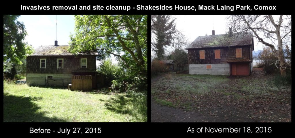 Before and After MLHS cleanup 2015