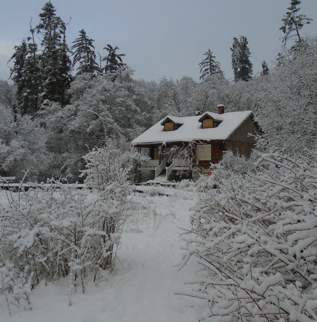 Shakesides in winter, February 2017