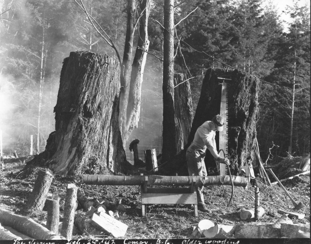 Sawing old wood, February 1942