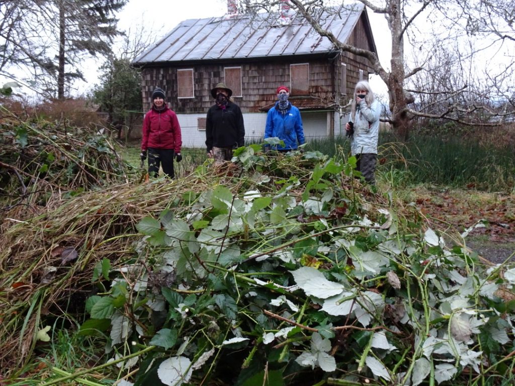 MLHS team and piles of invasives removed at Shakesides, Oct. 2015