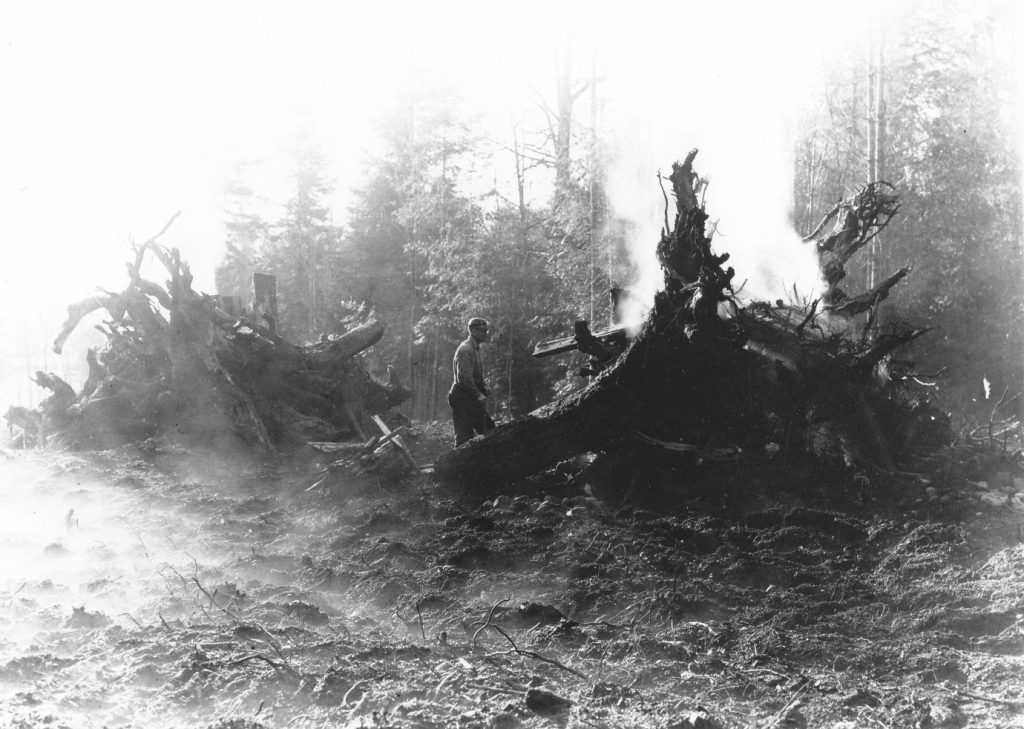 Laing and stump after the explosion