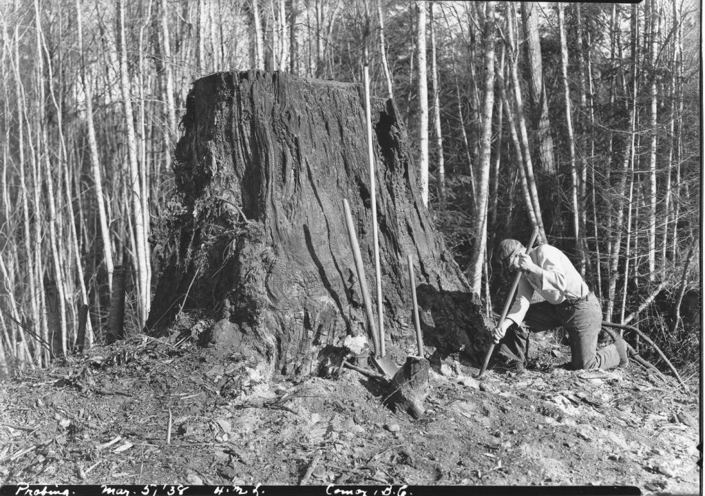 Laing probing, March 1938