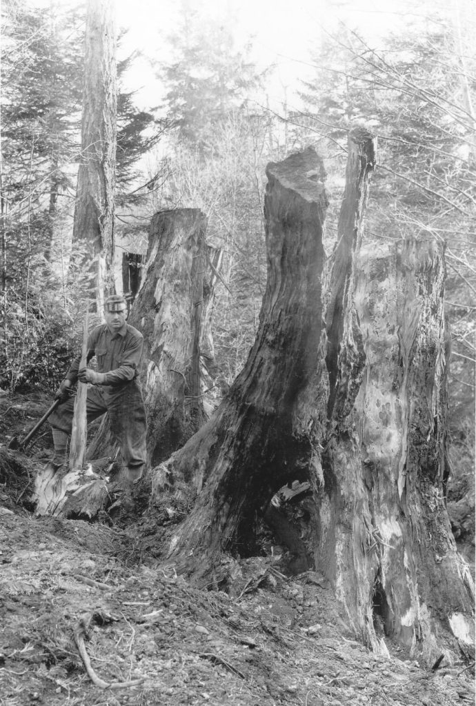 Laing doing stump removal on homesite, 1922