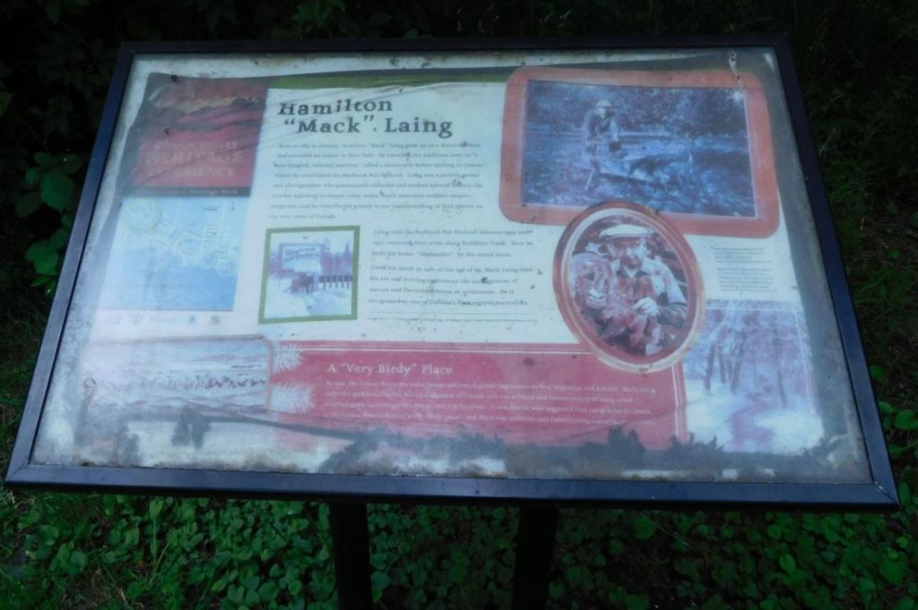 Sorry state of Town of Comox 'heritage' signboard about Mack Laing, behind Shakesides, June 24, 2025