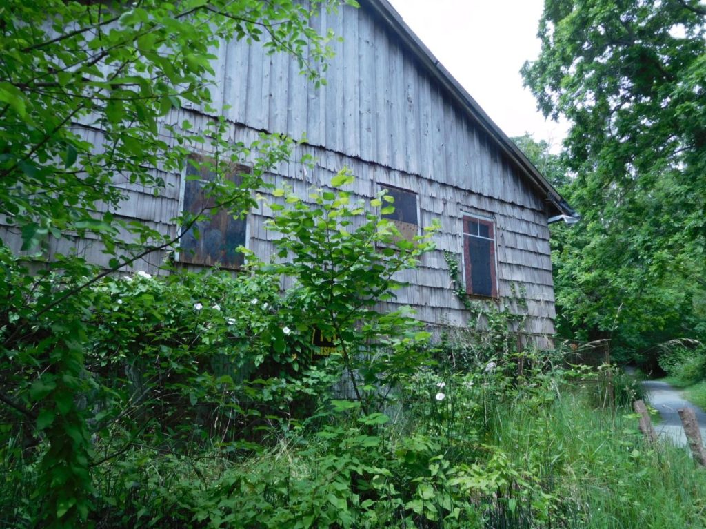 Pathway side of Shakesides, showing window with frames removed by Town, June 23, 2025, and revealing window art from 2016