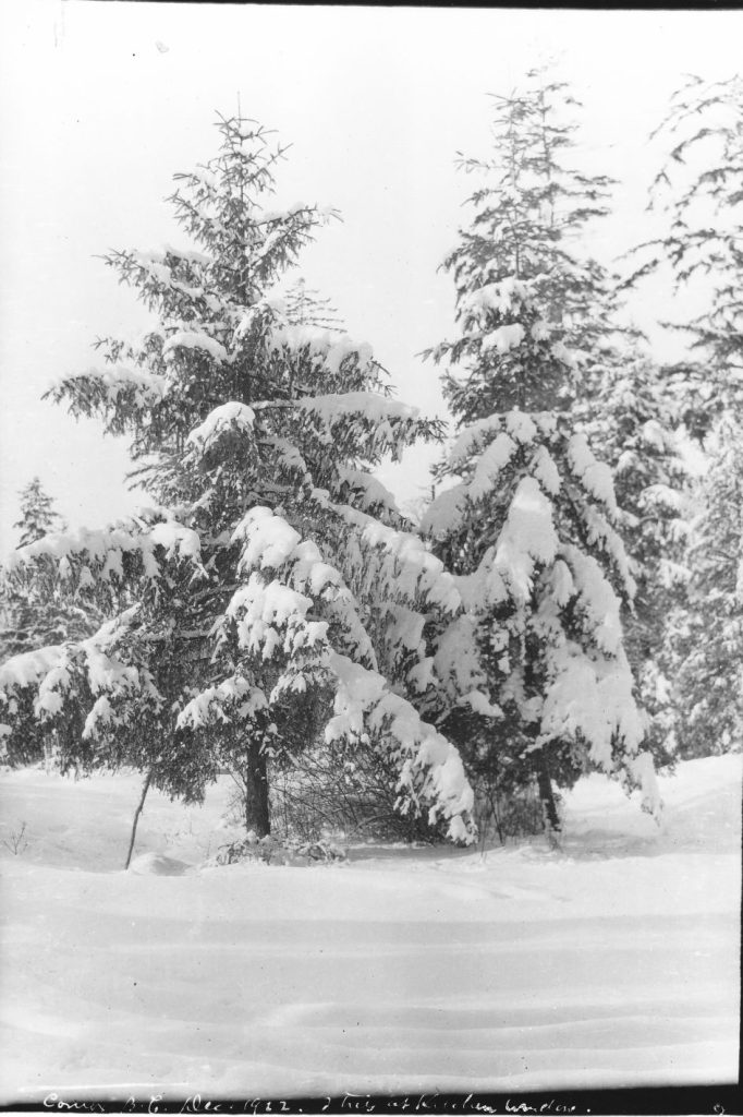 Comox winter, Dec. 1922