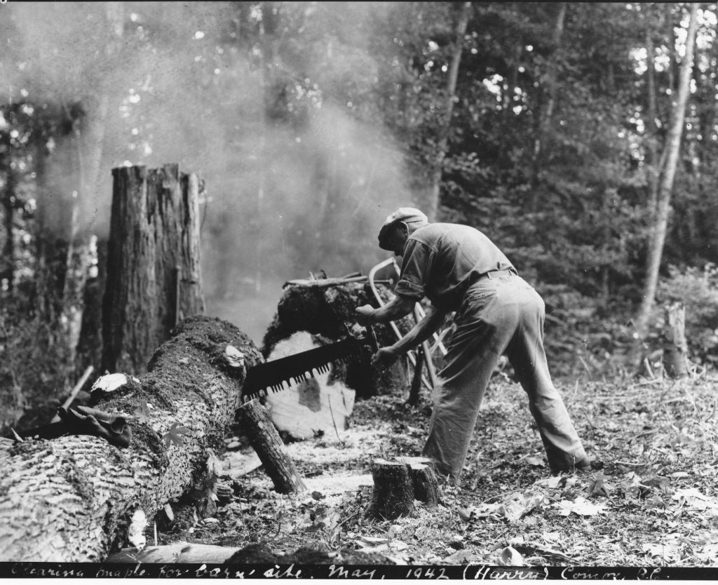 Laing Clearing for barn site, May 1942