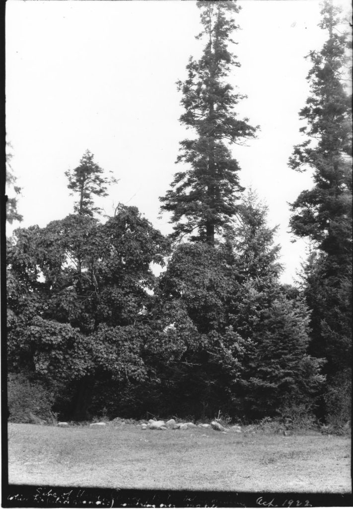 Homesite October 1922