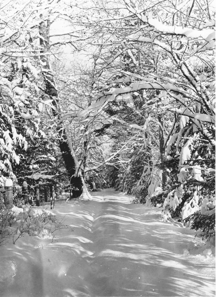 Baybrook road in winter