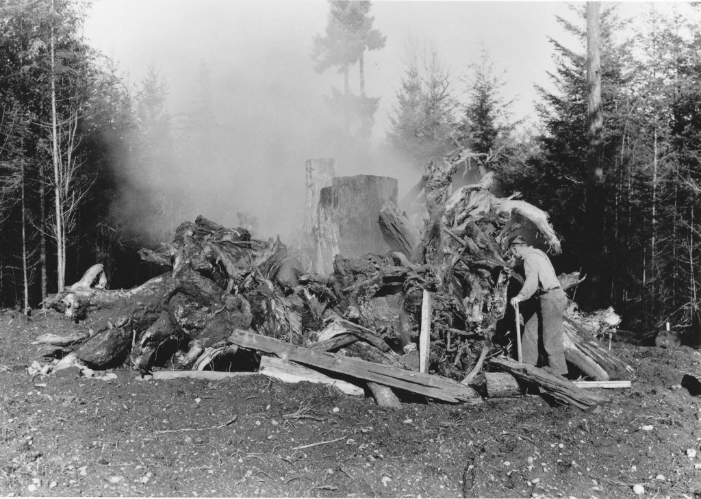 s;lash pile on homesite